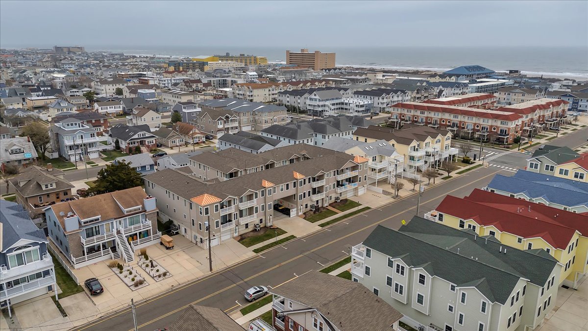 Wild Pearl - photo 26