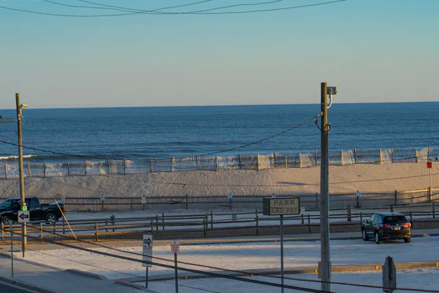 Wild Seaview - photo 35